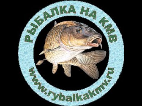 Видео: Рыбалка на КМВ, Клёвое место 06.03.21