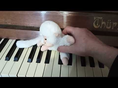 Видео: Октавы, регистры.