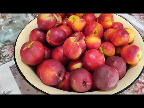 Видео: АРОМАТНЫЙ КОМПОТ ИЗ ПЕРСИКОВ (НЕКТАРИН) НА ЗИМУ! #рецепт # персики#вкусно #