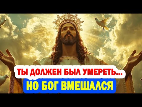 Видео: Избранный, ты потерянный ребёнок королевской семьи — твоя истинная личность раскрыта! 👑✨