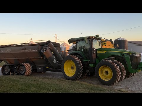 Видео: Отличное завершение сбора кукурузы 2025 года