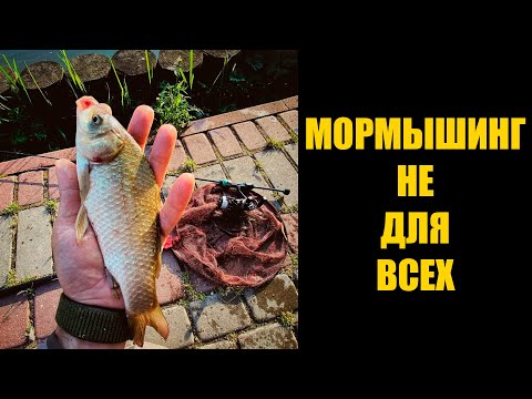 Видео: МОРМЫШИНГ НЕ ДЛЯ ВСЕХ \ GAMMARUS NJ