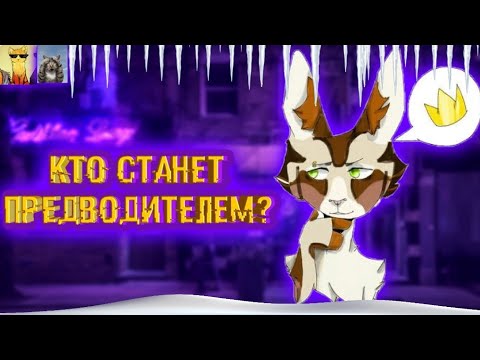 Видео: ТОП 10 КОТОВ-ВОИТЕЛЕЙ, КОТОРЫЕ СТАЛИ БЫ ХОРОШИМИ ПРЕДВОДИТЕЛЯМИ