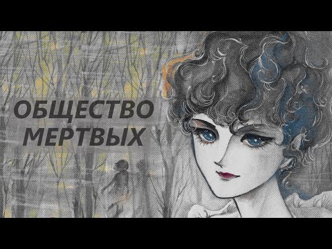 Видео: Клан По 🧛 Обзор