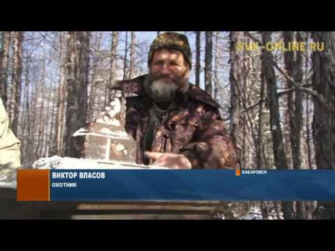 Видео: Сенсационная находка. В Хабаровске нашли памятник якутянину Н.П. Яковлеву XIX века