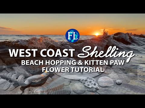 Видео: Веселый урок по сбору ракушек и цветов на пляжах Западного побережья!