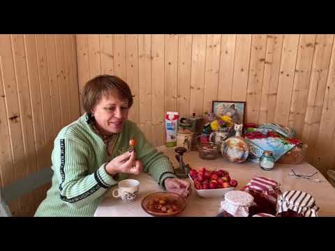 Видео: Купили дом в селе 🏡 Снесли лицевую стену пристройки⚒️ Варенье из ранеток🍎🍎 Давим виноград 🍇🍇#32