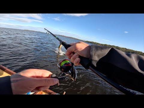 Видео: Мышь Миурас сегодня стала настоящим магнитом для щук! | Ловля крупной щуки на ирландском озере