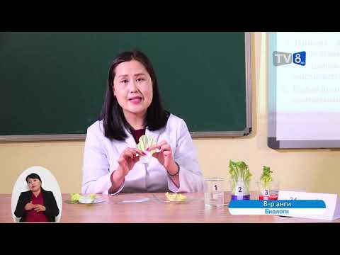 Видео: Өдөр 10  8 р анги Биологи