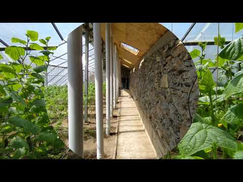 Видео: Күнөстүү күнөскананын мектеп үчүн артыкчылыктары.