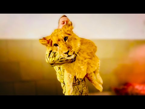 Видео: Симба, Асада и ШерХан просятся у Олега Зубкова погулять, но всех вместе никак не получится!