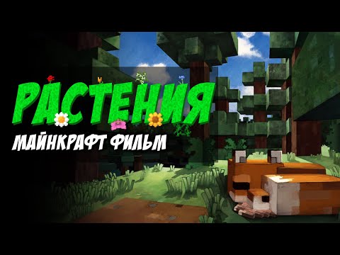 Видео: Растения — Майнкрафт фильм. Всё что нужно знать, интересные факты.