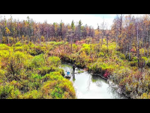 Видео: КАК ТАК ТО ?ОПЯТЬ ЭТО СЛУЧИЛОСЬ! Приключения на лесной речке! Душевная рыбалка!