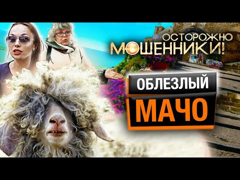 Видео: Облезлый мачо. Осторожно, мошенники! @Центральное Телевидение