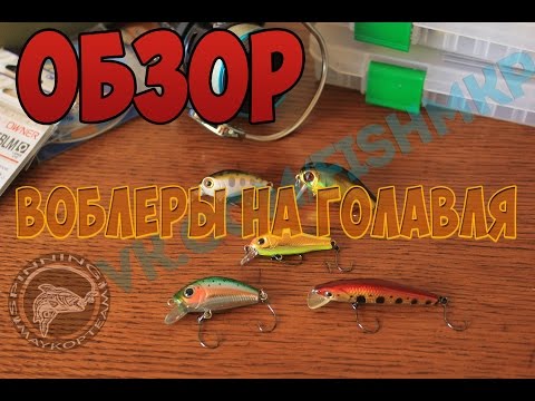 Видео: ТОП 5 убойных воблеров на голавля #1 (воблеры для ловли голавля 2016)