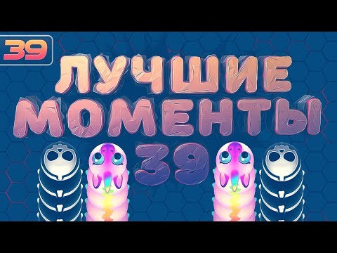 Видео: WORMAX.IO - ЛУЧШИЕ МОМЕНТЫ #39 | CLAN - [MD]