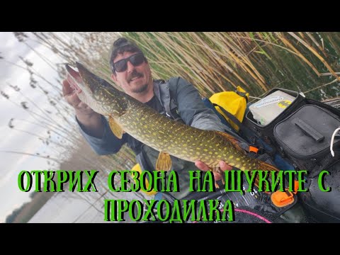 Видео: Щуки с Проходилка