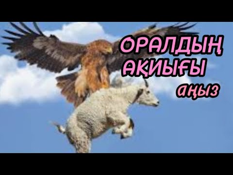 Видео: Оралдың ақиығы  аңыз#аудиокітап#аудиоәңгіме