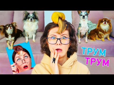 Видео: Это самые тупые лайфхаки Трум Трум для животных! Не повторяй эти лайфхаки для питомцев никогда!