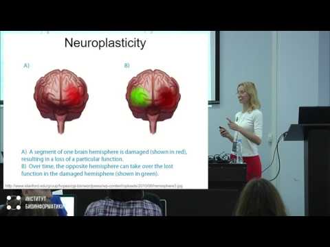 Видео: Тайны старения мозга | Елена Сюгис