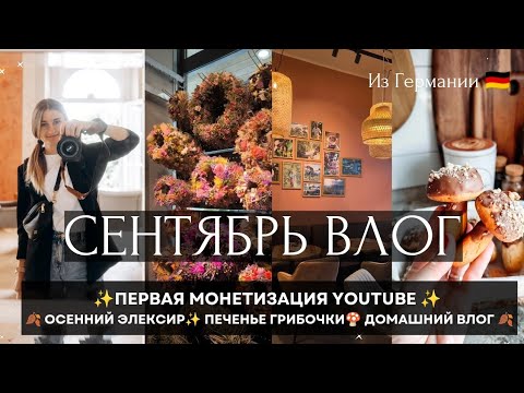 Видео: 🍂ВЛОГ:СКОЛЬКО ЗАРАБОТАЛА НА ЮТУБ ✨ОСЕННЯЯ ЗАКУПКА НА 100€🥨 ПЕЧЕНЬЕ ГРИБОЧКИ 🍄ПАСТА АМОСОВА