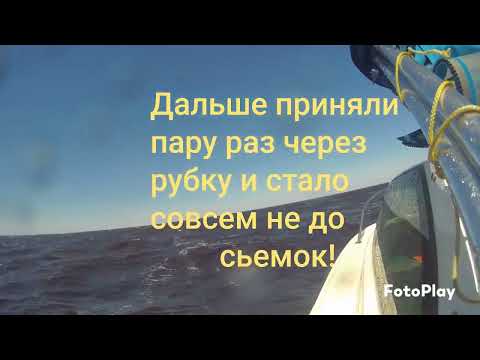 Видео: Весна 9.05.2024. Открытие водномоторного сезона. Южная Ладога.