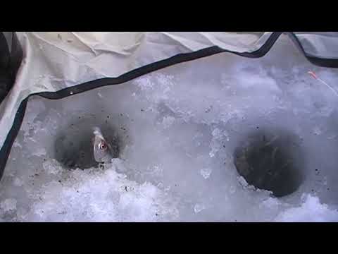 Видео: Зимняя рыбалка в палатке в -25. ловля плотвы на мормышки.