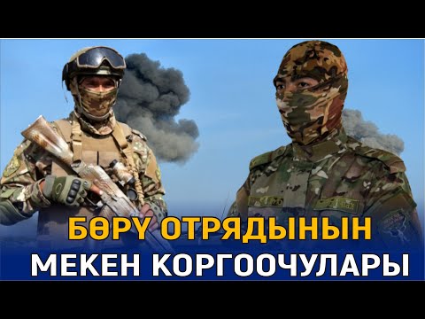 Видео: АТАЙЫН БАГЫТТАГЫ БӨРҮ ОТРЯДЫ