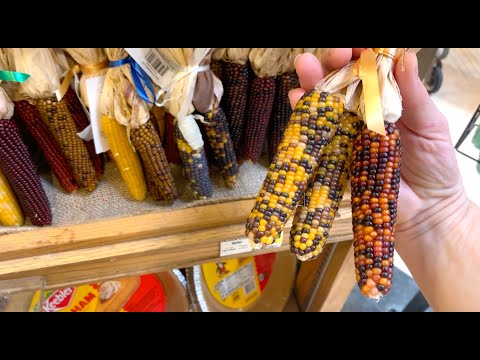 Видео: Закупились в фермеровском магазине.  Лосось на гриле. Поехали на океан и чуть не замерзли.