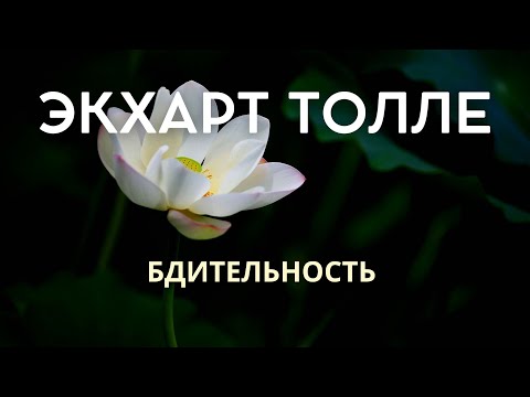 Видео: Бдительность - ЭКХАРТ ТОЛЛЕ [Nikosho]