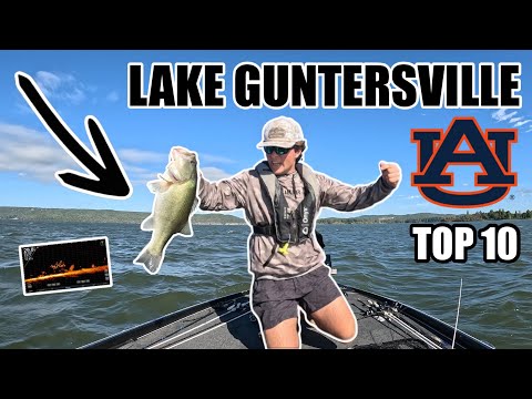 Видео: Студенческий турнир по рыбной ловле на озере Гантерсвилл (ТОП-10) [4K]