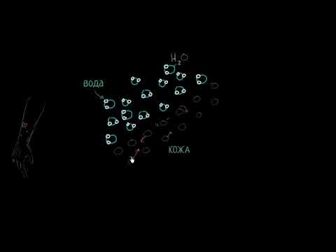 Видео: ЛеБрон спрашивает: почему пот охлаждает наше тело? (видео 3)| Биологическая роль воды | Биология