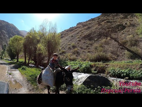 Видео: Таджикистан/это Швейцария? Нет,это Таджикистан Детка/Isthis Switzerland? No, this is Tajikistan baby