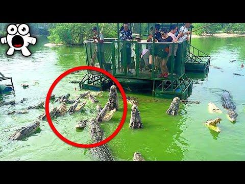 Видео: Самые Опасные Места Для Туристов