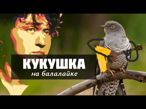 Видео: Кукушка на балалайке. Виктор Цой Урок 102.1