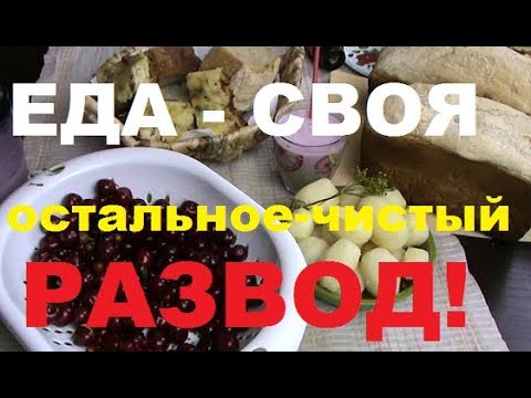 Видео: ЖИТЬ в деревне  БЕЗ  ДЕНЕГ-ЭТО РАЗВОД ЛОХОВ! это невозможно даже  с хозяйством