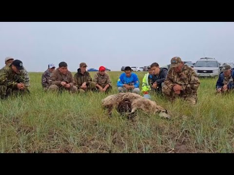 Видео: РЫБАКИ КАЗАХСТАНА ОТЖИГАЮТ!!! 82КГ КАРПА!! СОРЕВНОВАНИЯ ГРУППЫ!!! Ч.3 07-08.06.2025г.