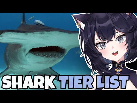 Видео: Реакция Сафвина на список SHARK Tier (TierZoo)