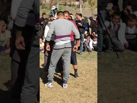 Видео: Алыш Аксы базар коргон правда айылы