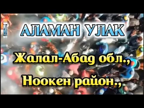 Видео: Аламан улак! #аламанулак #кокбору #ватцап+77083521494