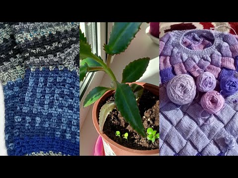 Видео: ❤VLOG/готовые носочки крючком🌺