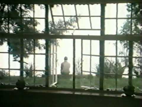 Видео: Сатпрем - Человек. А что после?