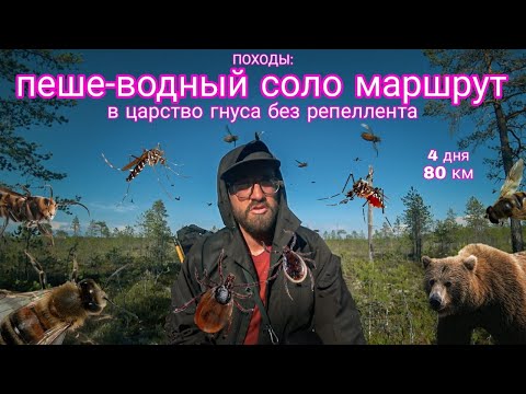 Видео: ПОХОДЫ: самый тяжёлый одиночный пеше-водный маршрут в жизни. Без репеллента в царство гнуса