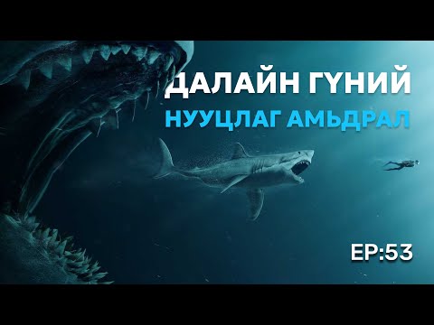 Видео: 🔍 ШУ-ны хялбаршуулсан нийтлэл Ep : 53 Далайн гүнийг танин мэдэцгээе | ФУ-ны доктор, Н.Тэгшбаяр