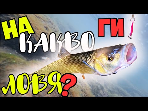 Видео: В ТРУДНИ УСЛОВИЯ!!! ОБРАСЛА И МАЛОВОДНА РЕКА КАМЧИЯ!!!