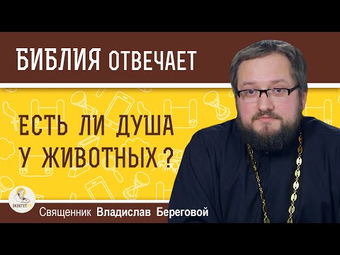 Видео: ЕСТЬ ЛИ ДУША У ЖИВОТНЫХ ?  Священник Владислав Береговой