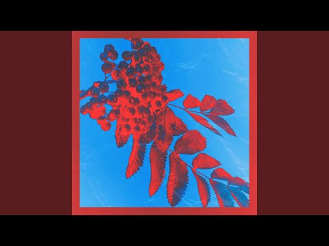 Видео: Снегири