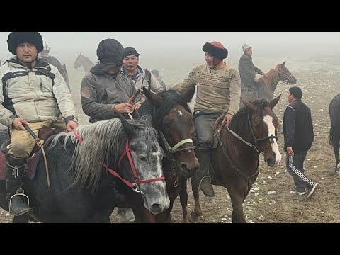 Видео: Алга айылы аламан улак 21.11.24