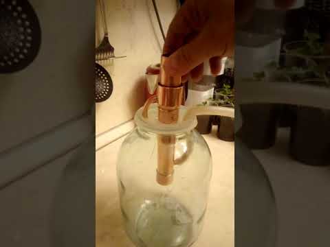 Видео: Попугай для самогоноварения