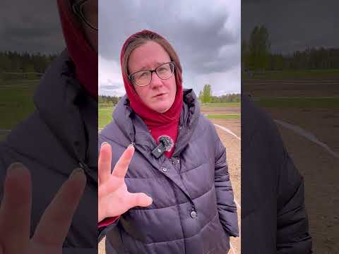 Видео: Центр ахалтекинских лошадей Веры Труновой. Часть 6
